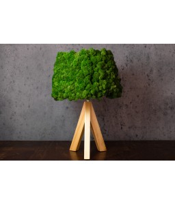 Lampa licheni decorativi