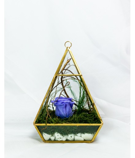 Terariu geometric mușchi decorativ și trandafir stabilizat 14 x 20 cm