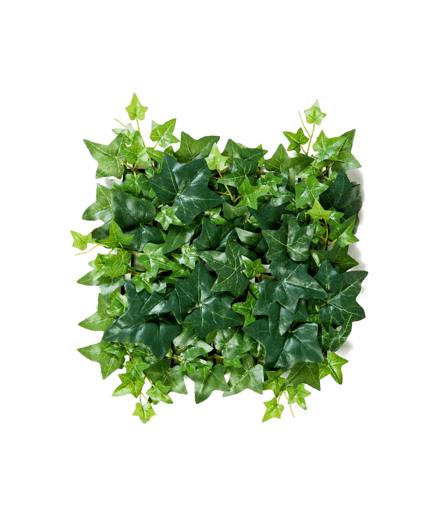 Modul gradina verticala  30cm x 30 cm