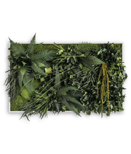 Tablou muschi si plante stabilizate 100 cm x 60 cm