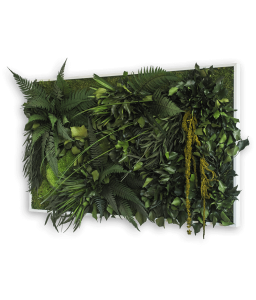 Tablou muschi si plante stabilizate 100 cm x 60 cm