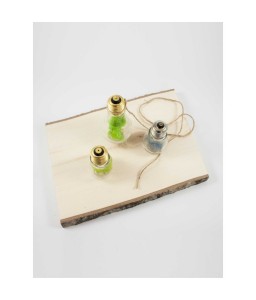 Terariu bec licheni decorativi 12 cm